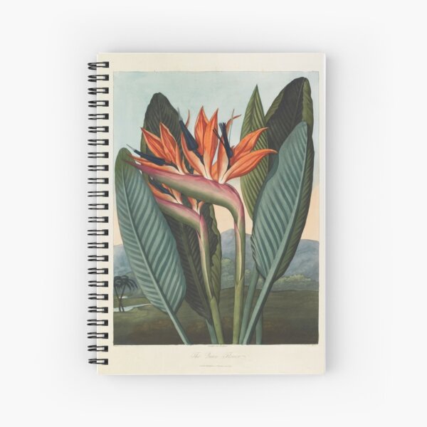 Botanical illustration: Bird of Paradise (Strelitzia) – State Library Victoria Spiral Notebook