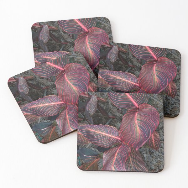 Item preview, Canna Tropicanna designed and sold by TonyCrehan.