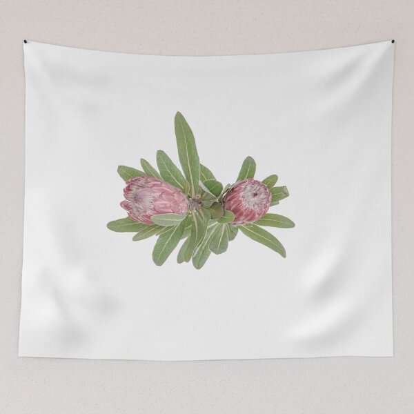 Item preview, Softness of Proteas... designed and sold by mitpjenkeating.