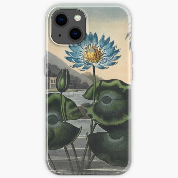 Botanical illustration: Blue Egyptian water lily by Robert Thornton – State Library Victoria iPhone Soft Case