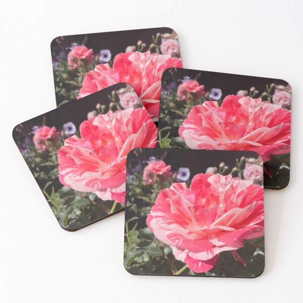 Item preview, Pink and White Rose designed and sold by Betsy Phillips.