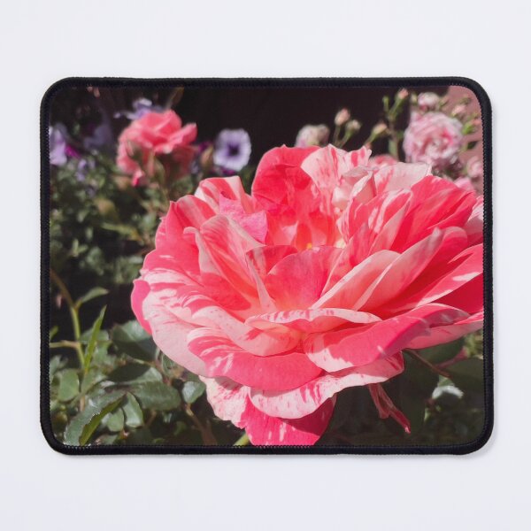 Item preview, Pink and White Rose designed and sold by Betsy Phillips.