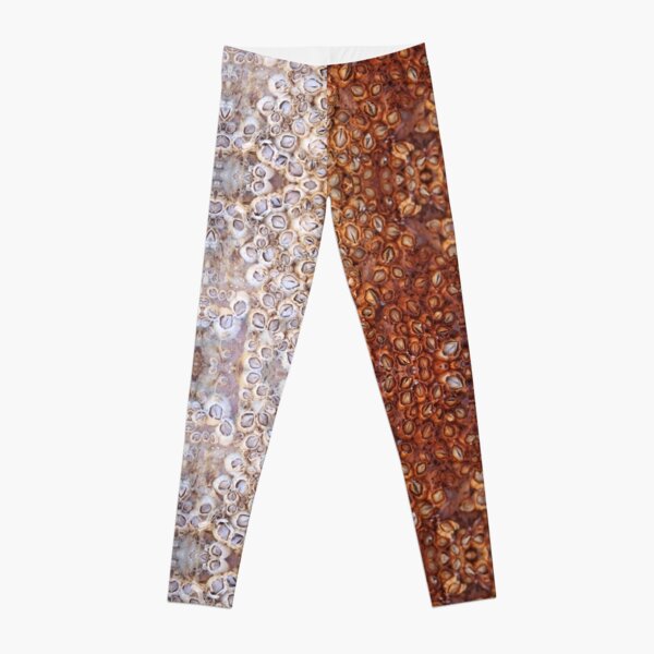 Barnacles Covered in Rust - 2018 Leggings
