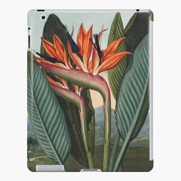 Botanical illustration: Bird of Paradise (Strelitzia) – State Library Victoria iPad Snap Case