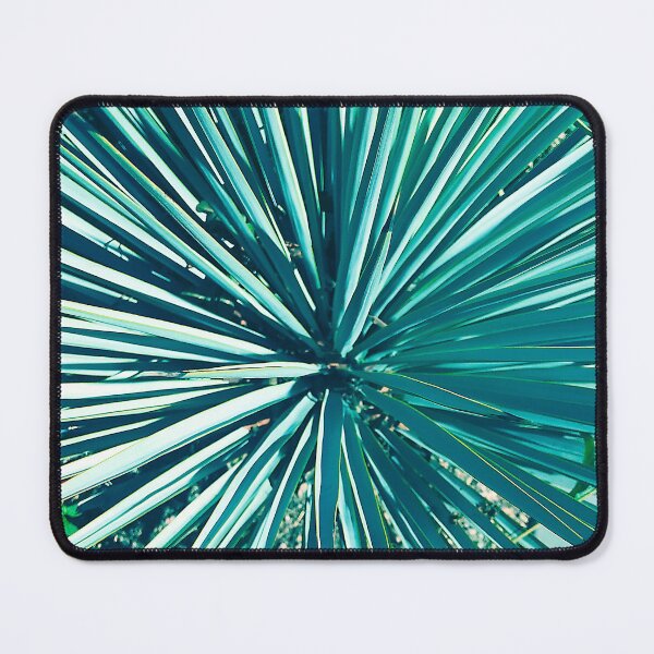 Item preview, Exotic Aqua Green Succulent Cactus Art Photo designed and sold by DEC02.
