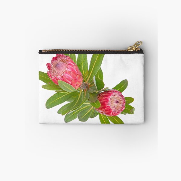 Item preview, Soft Proteas... designed and sold by mitpjenkeating.