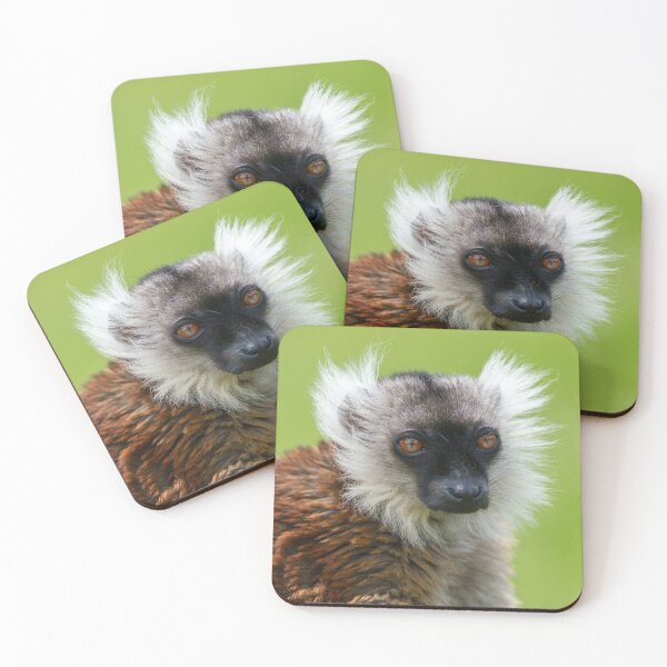 Item preview, Female Black Lemur in Detail designed and sold by rawshutterbug.