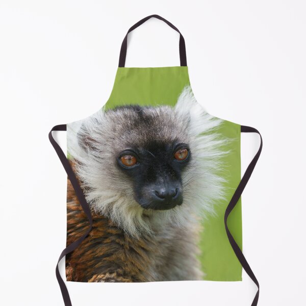 Item preview, Female Black Lemur in Detail designed and sold by rawshutterbug.