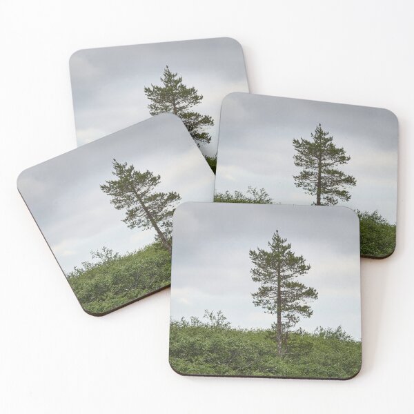 Item preview, Standing alone. Kiilopaa pine designed and sold by Jouko Lehto Photography.