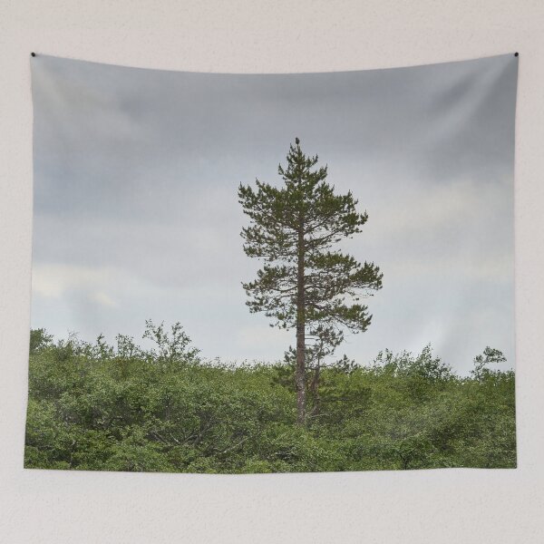 Item preview, Standing alone. Kiilopaa pine designed and sold by Jouko Lehto Photography.