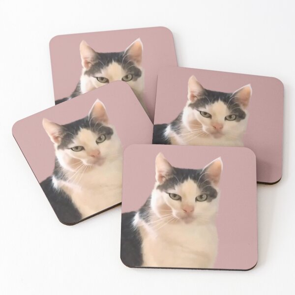 Item preview, Girl Cat staring eyes meme, sarcastic funny cat designed and sold by Prime_Store.