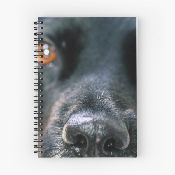 Item preview, Dog truffle designed and sold by Evazionphoto85.