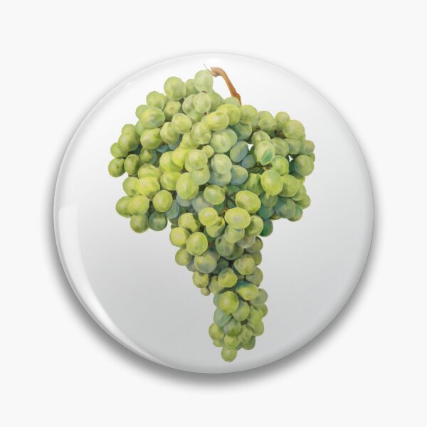 Item preview, Green grapes illustration designed and sold by Hamish Davies.