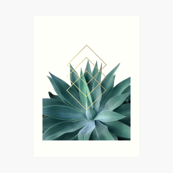 Agave geometrics Art Print