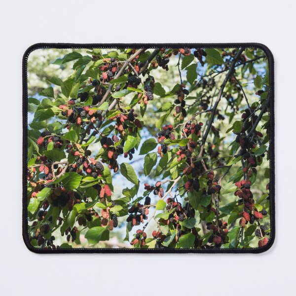 Item preview, Sweet Ripe Mulberries Abundance designed and sold by Georgia Mizuleva.