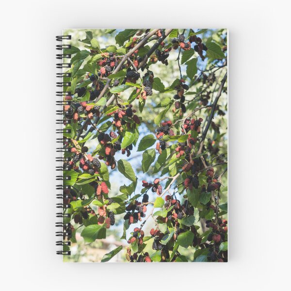 Item preview, Sweet Ripe Mulberries Abundance designed and sold by Georgia Mizuleva.