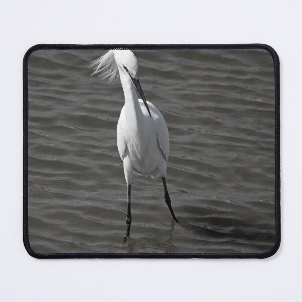 Item preview, Stepping Out designed and sold by bertsworks300.