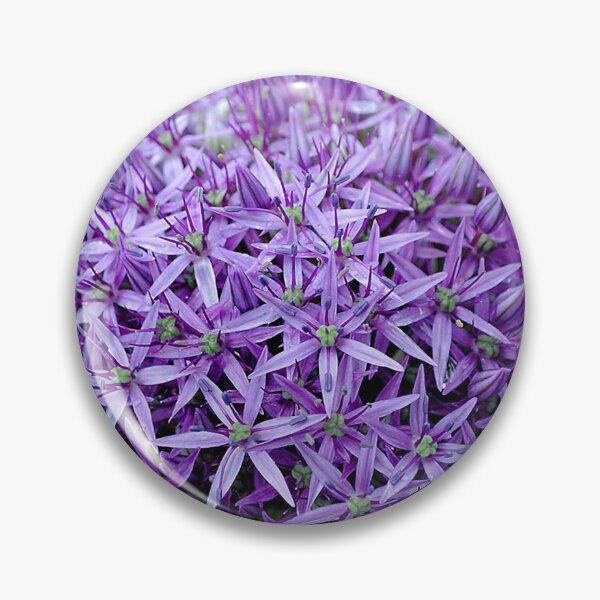Item preview, Allium Hollandicum Purple Summer Flowers designed and sold by AndyEvansPhotos.