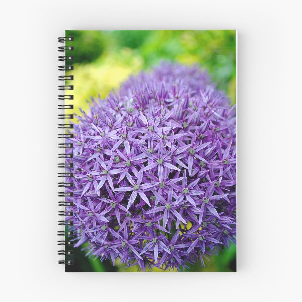 Item preview, Allium Hollandicum Purple Summer Flowers designed and sold by AndyEvansPhotos.