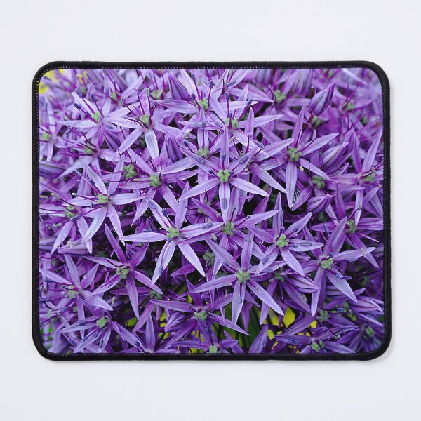 Item preview, Allium Hollandicum Purple Summer Flowers designed and sold by AndyEvansPhotos.