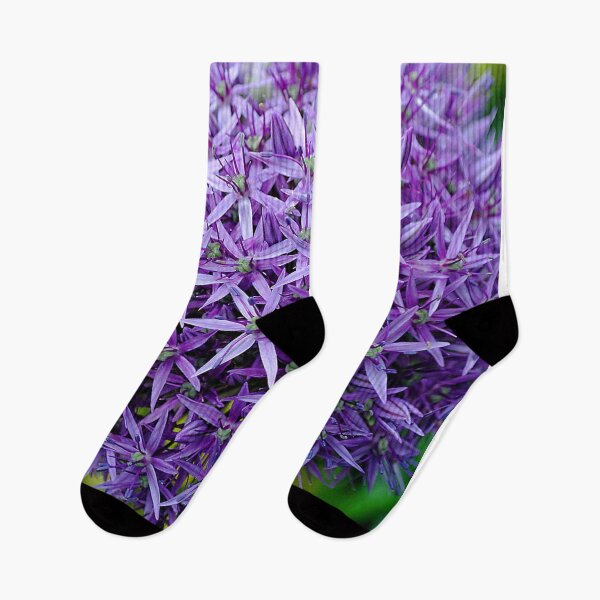 Item preview, Allium Hollandicum Purple Summer Flowers designed and sold by AndyEvansPhotos.