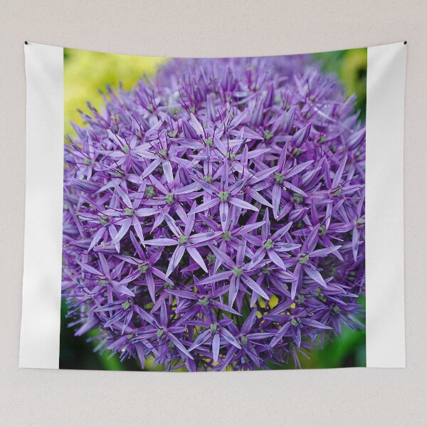 Item preview, Allium Hollandicum Purple Summer Flowers designed and sold by AndyEvansPhotos.