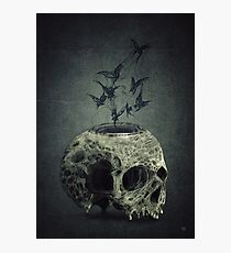 Skull Bats Photographic Print