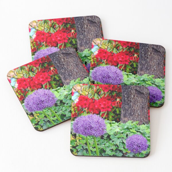 Item preview, Allium Hollandicum Purple Summer Flowers designed and sold by AndyEvansPhotos.