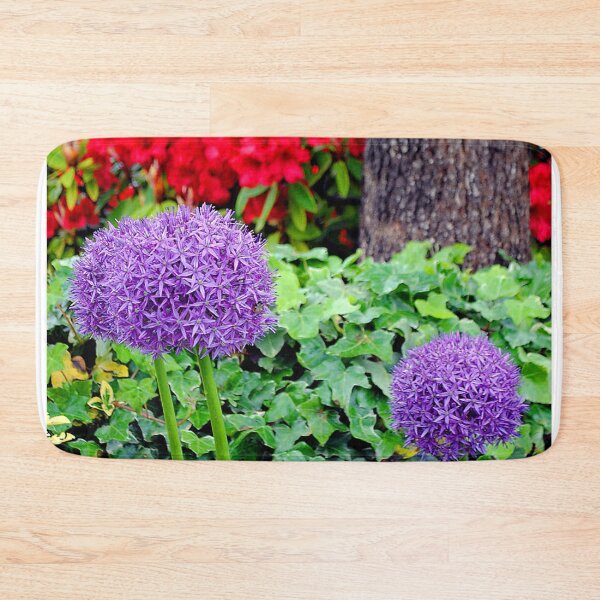 Item preview, Allium Hollandicum Purple Summer Flowers designed and sold by AndyEvansPhotos.