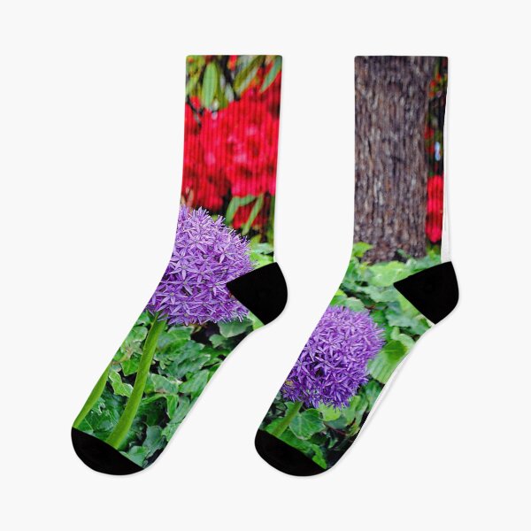 Item preview, Allium Hollandicum Purple Summer Flowers designed and sold by AndyEvansPhotos.