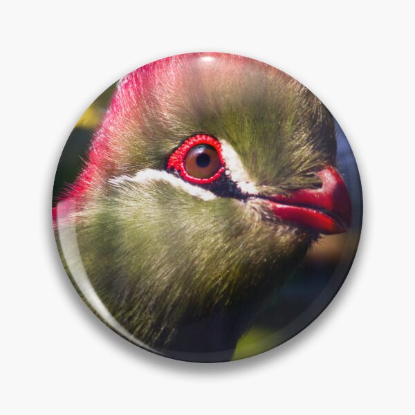 Item preview, Fischers Turaco Bird designed and sold by FOLK ART FUSION by heidiannemorris.