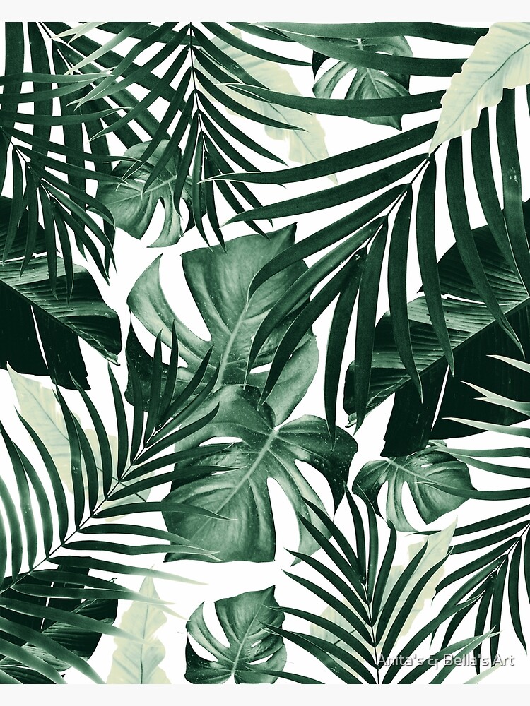 "Tropical Jungle Leaves Pattern 4 tropical decor art" Photographic