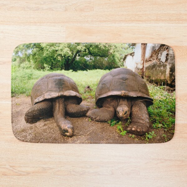 Item preview, Giant Tortoises, Zanzibar, Africa designed and sold by JonDelorme.