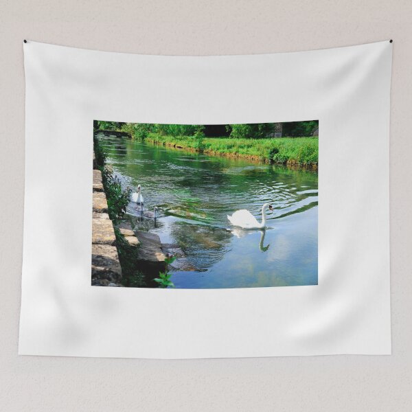 Item preview, A Family of Swans at Bibury designed and sold by lynn carter.