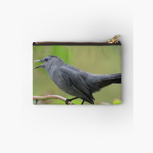 Item preview, Call of the Catbird designed and sold by Linda Crockett.