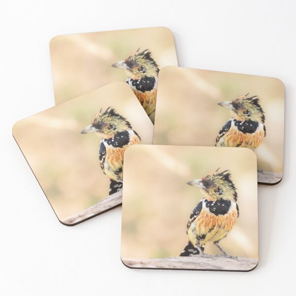 Item preview, Crested Barbet designed and sold by MyAfricanSafari.