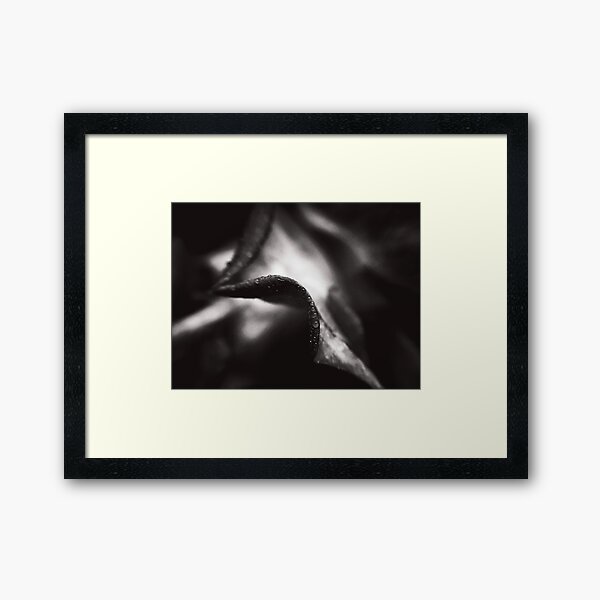 Item preview, Extreme Black and White Macro 1 designed and sold by Charles Oliver Photography.