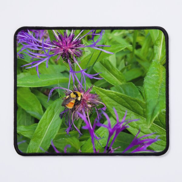 Item preview, purple bumblebee designed and sold by SaphiraJules.