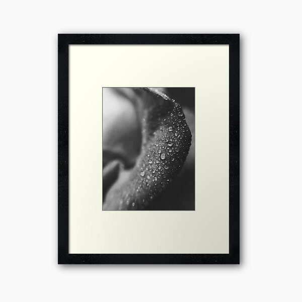 Item preview, Extreme Black and White Macro 2 designed and sold by Charles Oliver Photography.