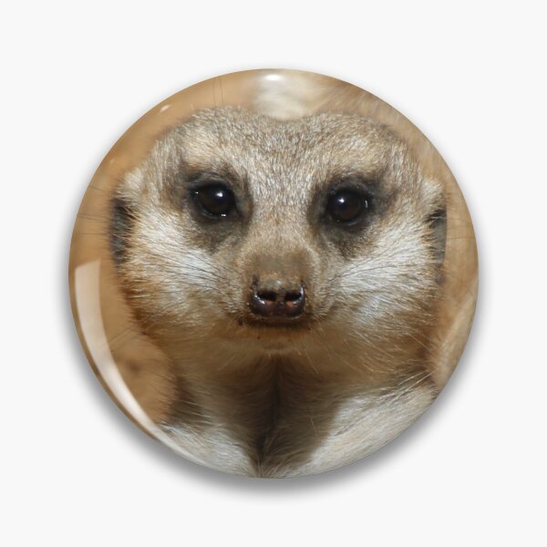 Item preview, Meerkat 016 designed and sold by JAMFoto.