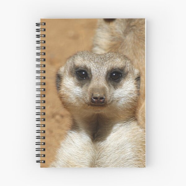 Item preview, Meerkat 016 designed and sold by JAMFoto.