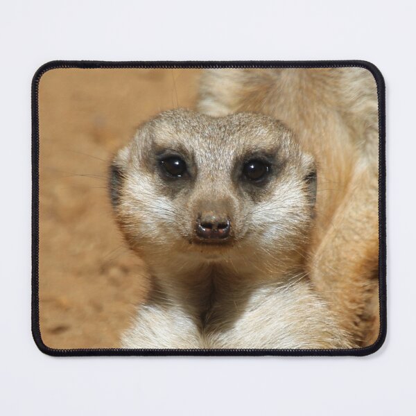 Item preview, Meerkat 016 designed and sold by JAMFoto.