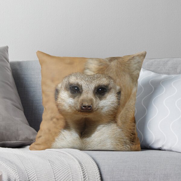 Item preview, Meerkat 016 designed and sold by JAMFoto.