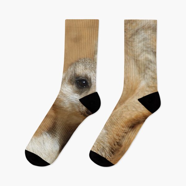 Item preview, Meerkat 016 designed and sold by JAMFoto.