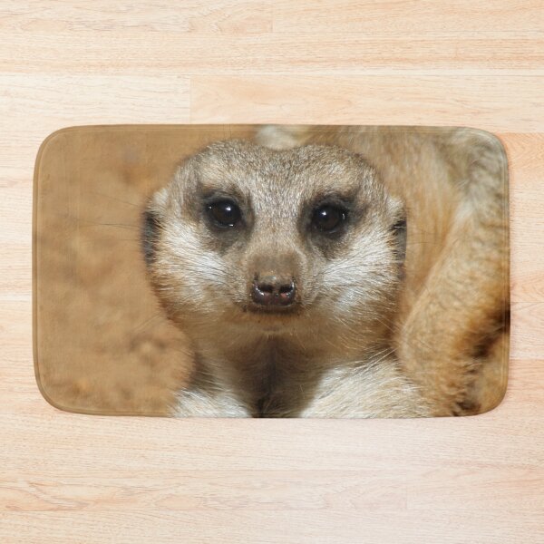 Item preview, Meerkat 016 designed and sold by JAMFoto.