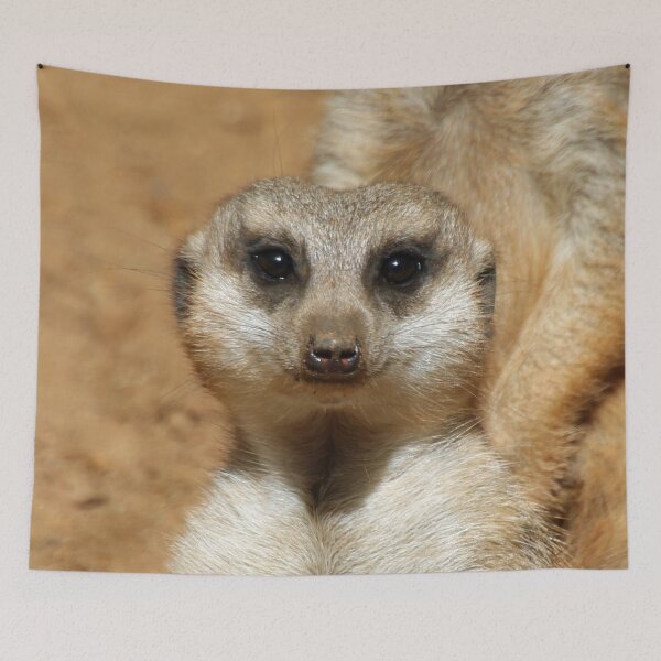 Item preview, Meerkat 016 designed and sold by JAMFoto.