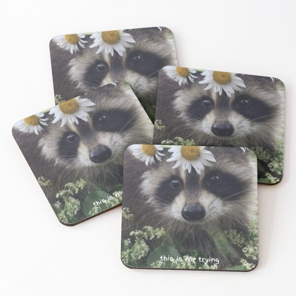 Item preview, this is me trying racoon designed and sold by PeachyPetichor.
