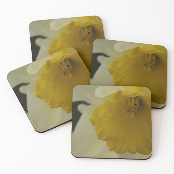 Item preview, Daffodil designed and sold by Calidris Fotografie Steffi & Ben Köppler.