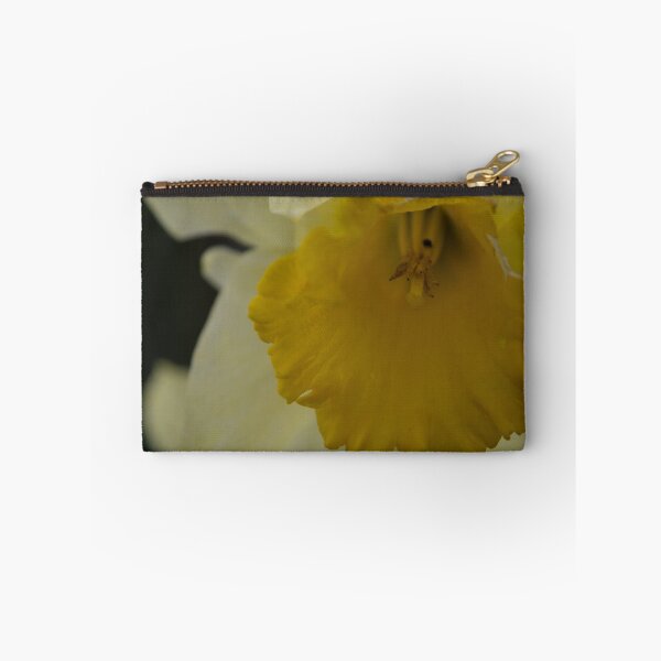 Item preview, Daffodil designed and sold by Calidris Fotografie Steffi & Ben Köppler.