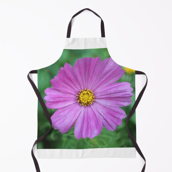 Item preview, Cosmos bipinnatus (Garden Cosmos) designed and sold by McFleur's Lens.